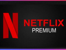 Bedava Netflix Premium Hesapları