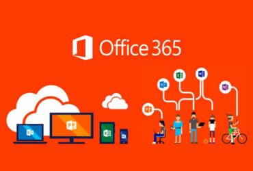 Microsoft Office 365 Lisans