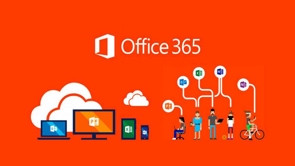 Microsoft Office 365 Lisans